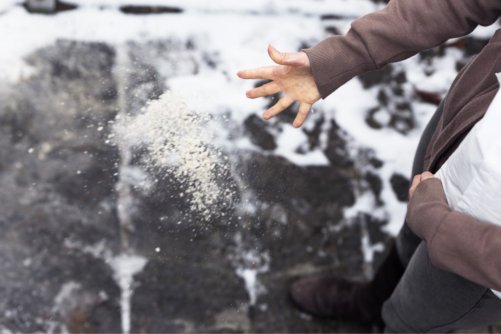 The Top 5 Best Ice Melts For Concrete