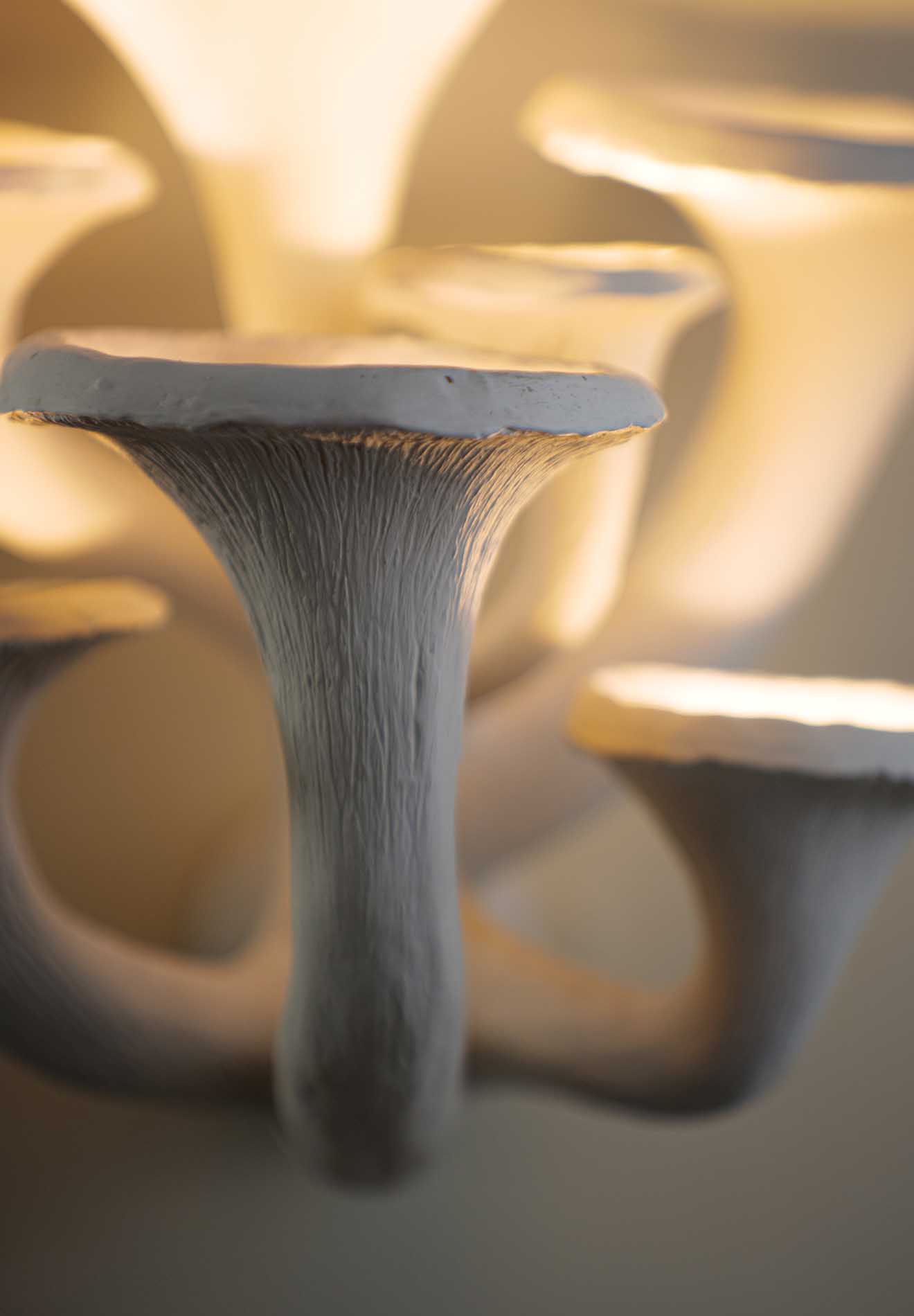 mushroom wall sconce