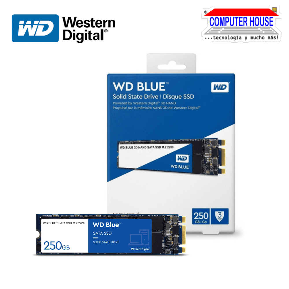 tierra Negociar Restricción Disco Sólido WESTERN DIGITAL 250GB SSD M.2 SATA BLUE (Velocidad máxima –  COMPUTER HOUSE