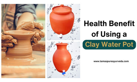 5 Amazing Health Benefits Of Using Clay Water Pot