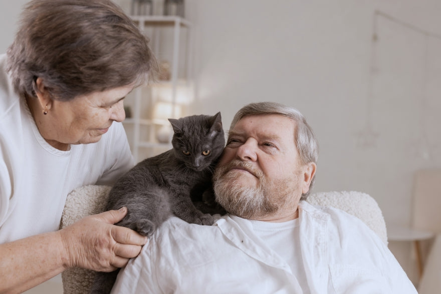 Ältere Menschen pflegen Katzen genießen sie zuhause