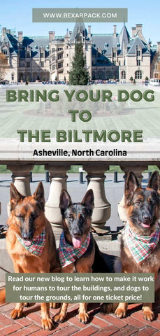 Cover photo for blog to give advice to people, who want to bring their dogs to The Biltmore.