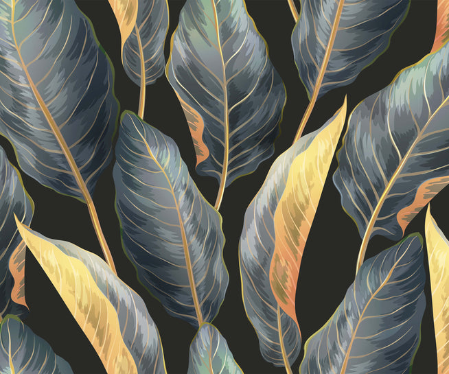 Calathea Image 1