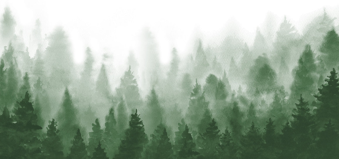 Grey green misty pine forest landscape Wall Mural | Misty Pine