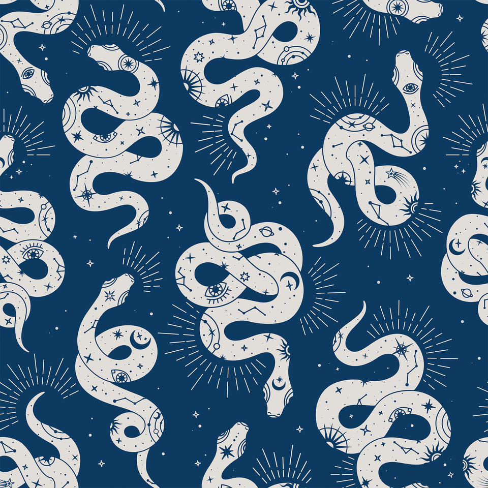 HD blue snake wallpapers | Peakpx