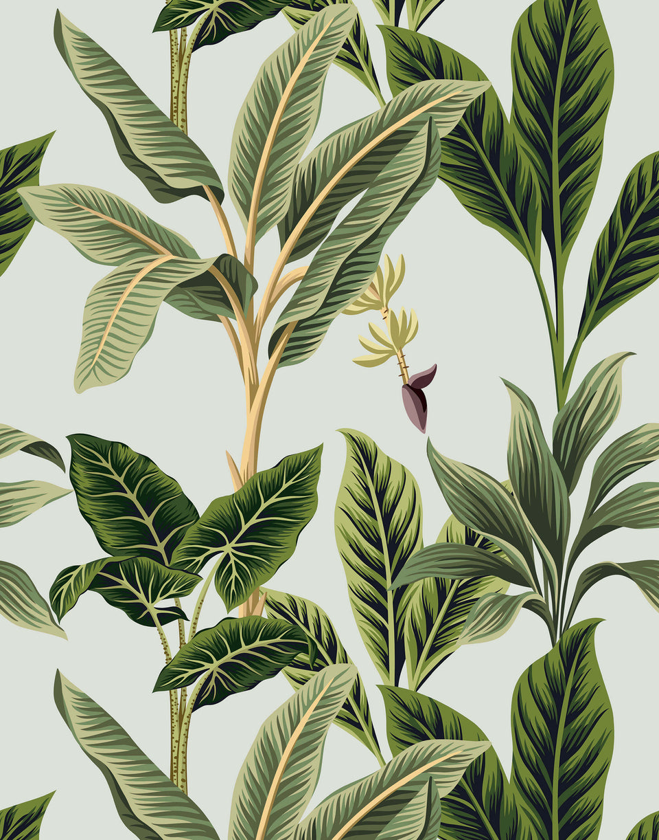 Wallpaper Flora Pyrex Flower Petal Textile Background  Download Free  Image