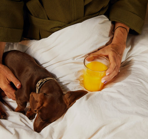 breakfast in bed with eager juice