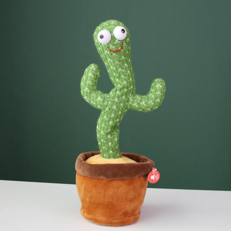 cactus doll plant