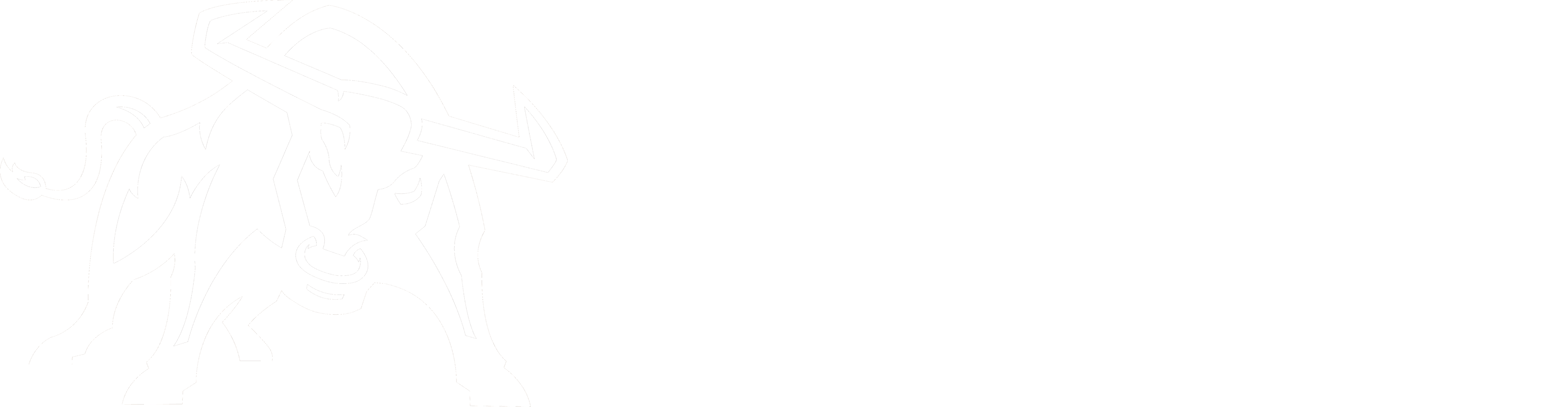 BrahmaBull