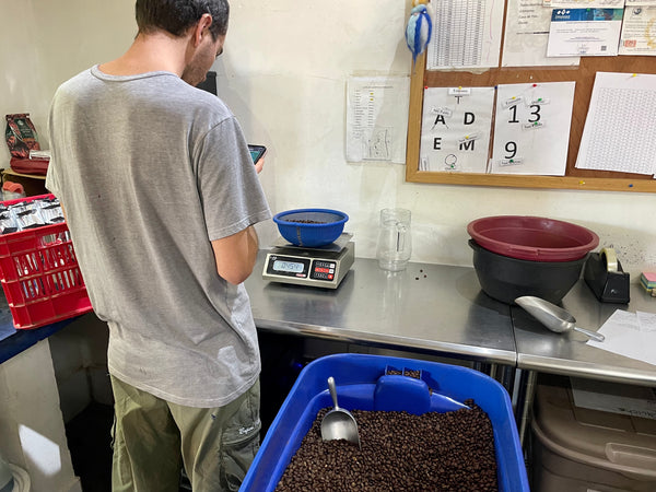 コーヒーの本場 中南米に行って豆を視察