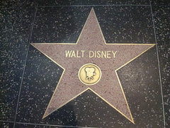 Walt Disney Walk of Fame Star