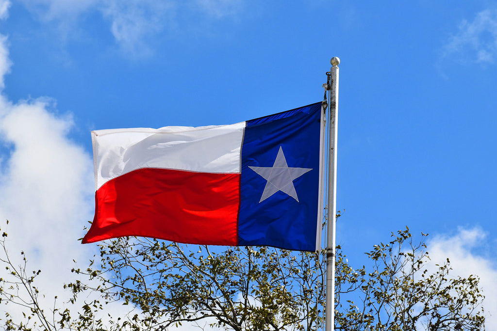 Texsa State Flag
