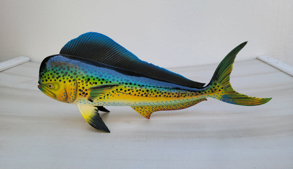 Mahi Mahi 48, 28, or 18 Dorado Dolphin fish wall decor – Tiki