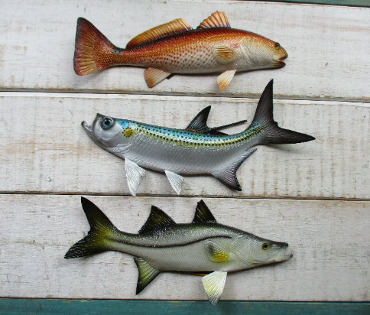 Redfish Snook Tarpon Replica 12 wall decor – Tiki Decor Plus