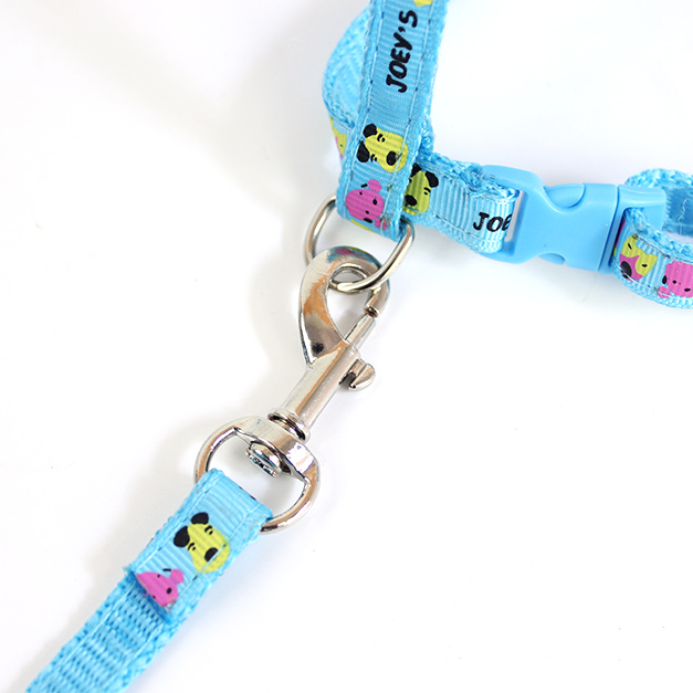 cat harness and bungee leash