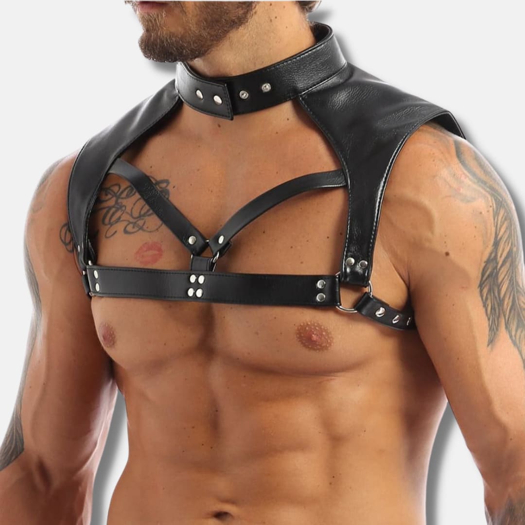 Image of POWER DOM Leather Harness