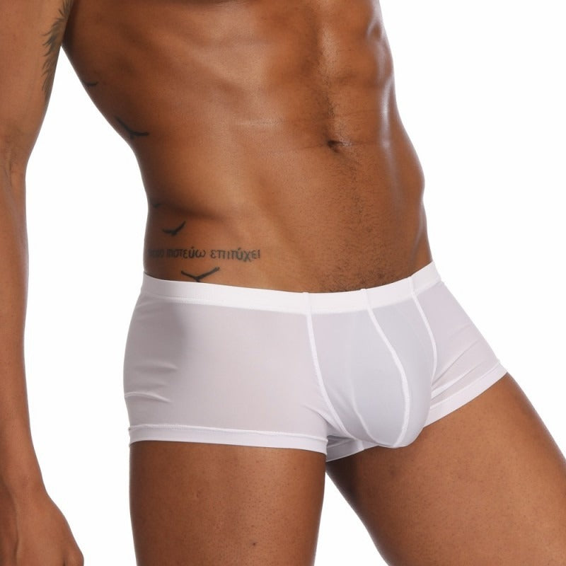 Image of THIN See-Through Boxer Briefs