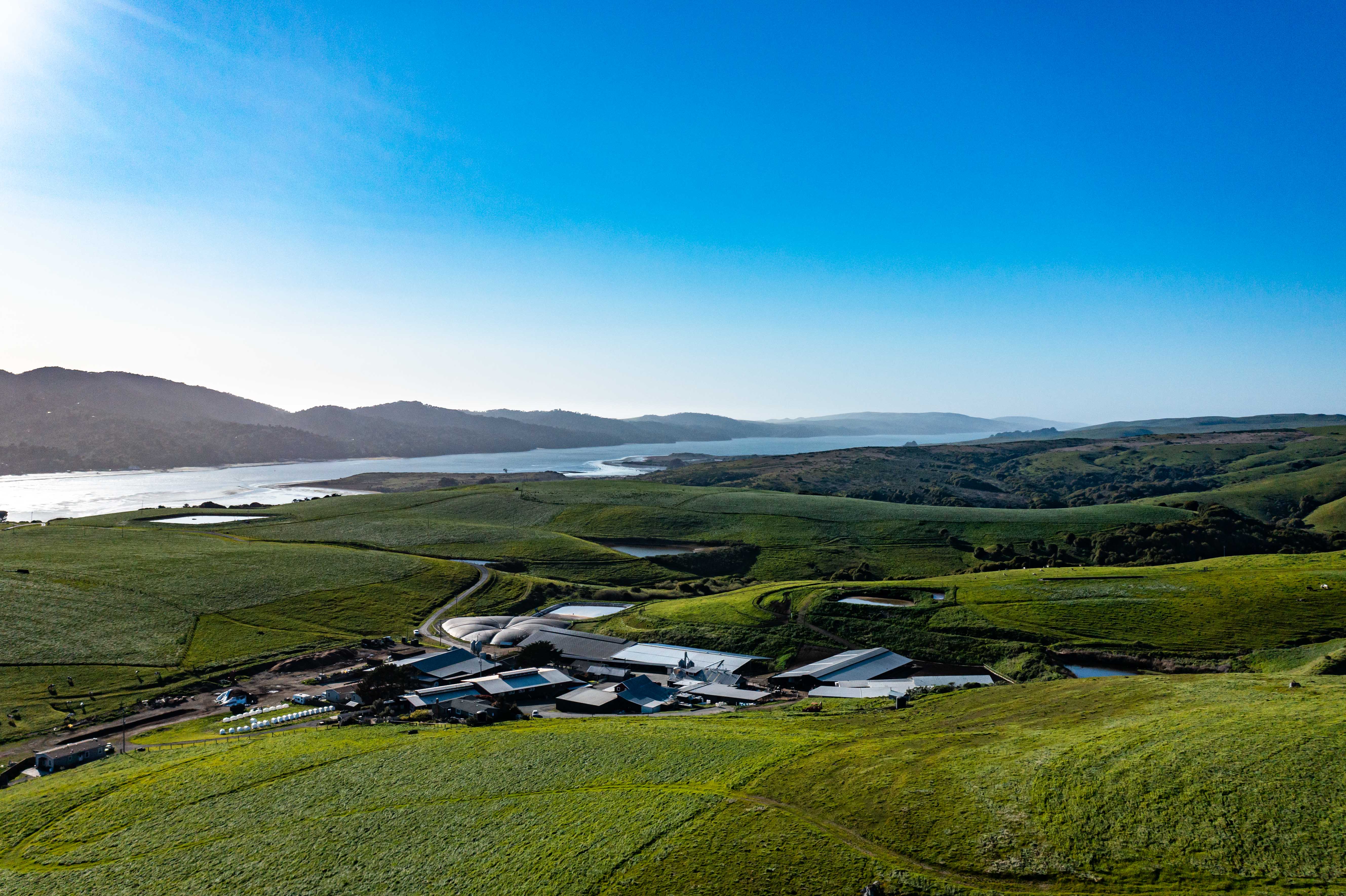 Picture of Point Reyes Farm