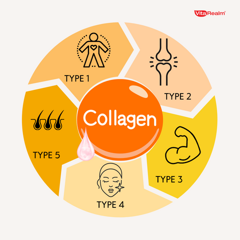 Collagen type