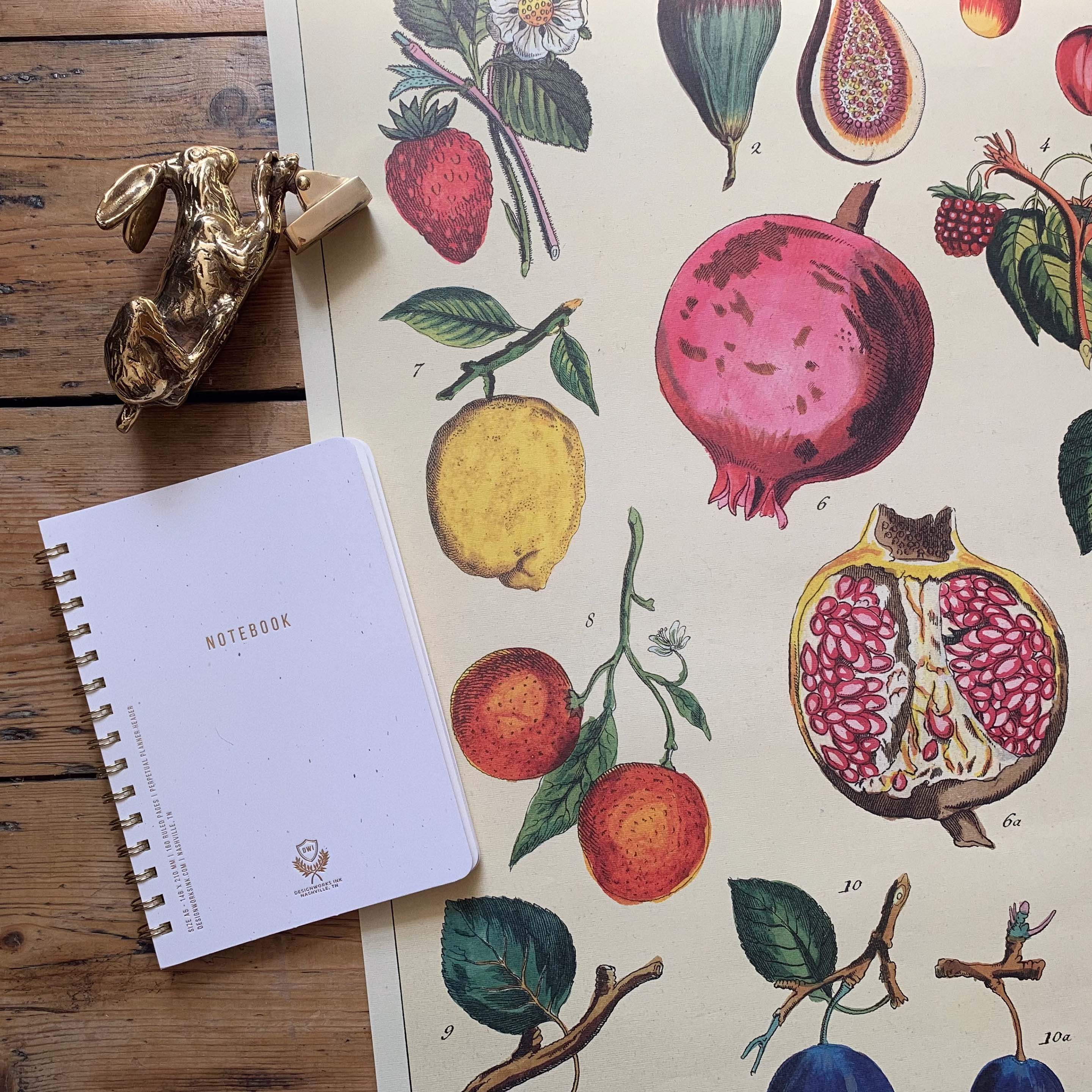 Pomegranite wrapping paper with notebook and brass hare door knocker