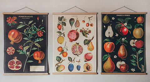 3 fruit and veg posters hung on wall using oak poster hangers