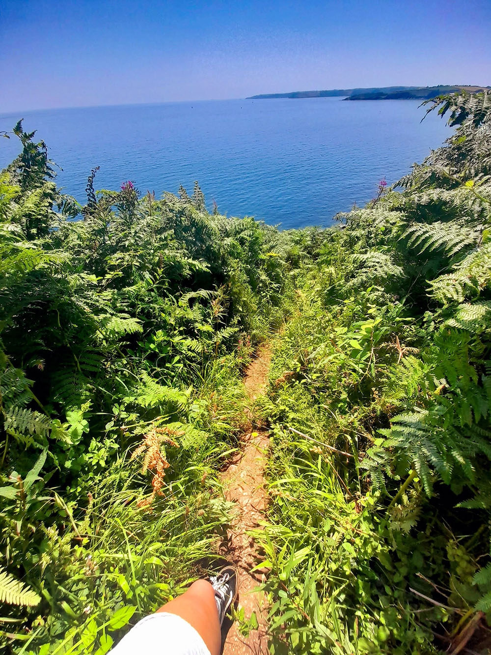 South west coast path