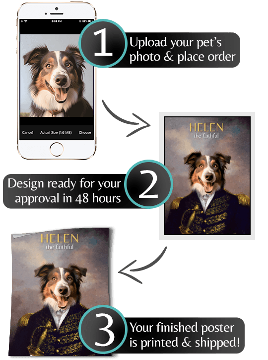 Renaissance era pet portrait The General steps