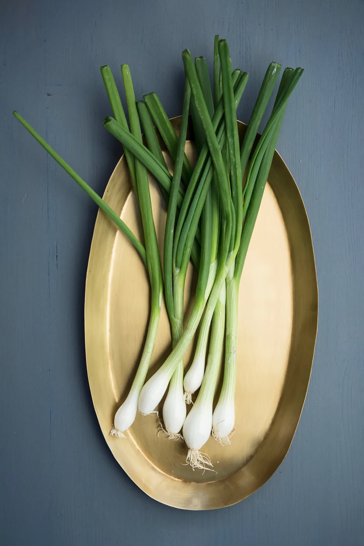 fog linen work brass round bowl small – tactile series