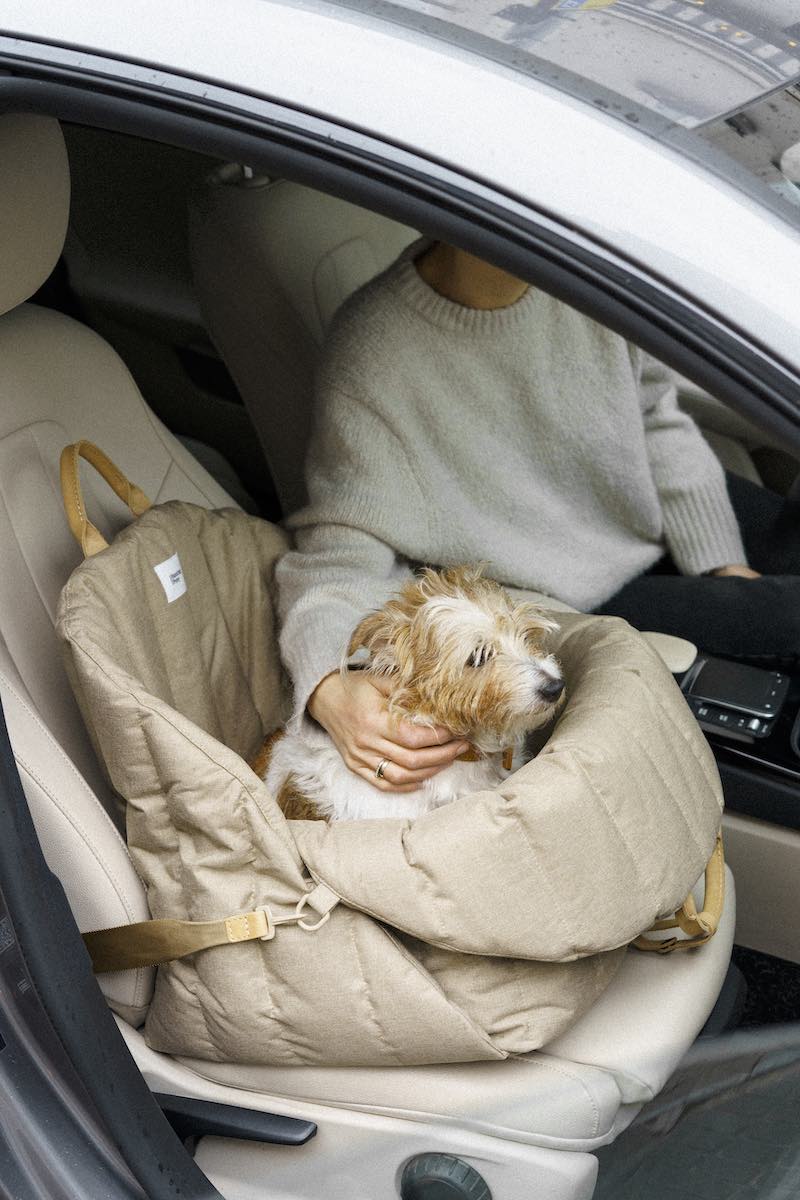 Car seat for dogs beige - Hunting Pony EU product image