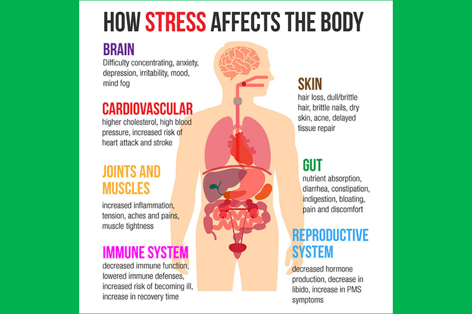 How Stress Affects the Body, Oatmeal, Moodify Food blog