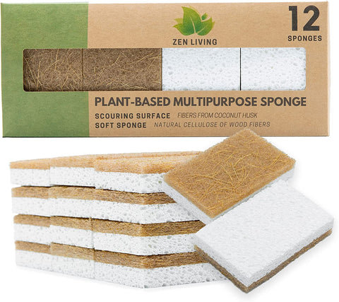 Airnex - A Better Sponge for a Better Planet