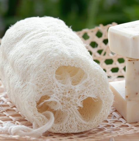 What's Safer to Use in the Shower: Loofah or Washcloth?