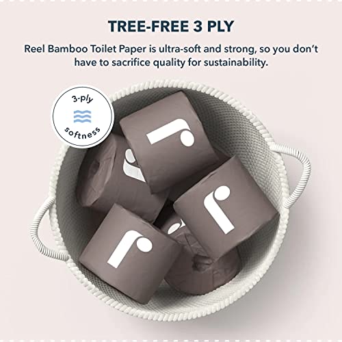 Reel Premium Recycled Paper Towels- 12 Rolls, 2-Ply Made From Tree-Fre