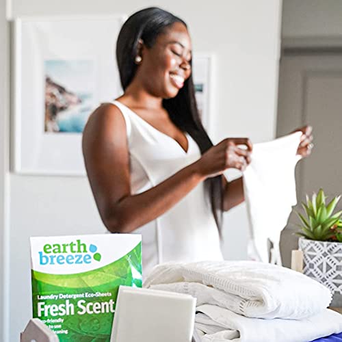 Tru Earth Compact Dry Laundry Detergent Sheets, Unscented - Up to 64 Loads  (32 Sheets) - Paraben-Free - Original Eco-Strip Liquidless Laundry