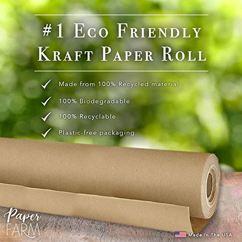 Reel Premium Recycled Paper Towels- 12 Rolls, 2-Ply Made From Tree-Fre