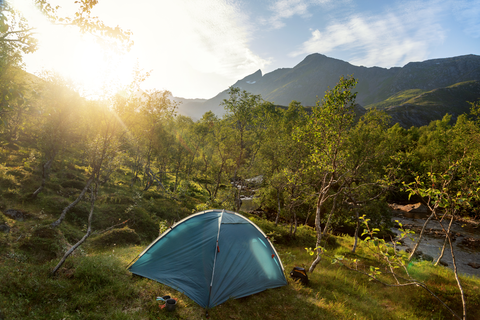 blue tent in forest