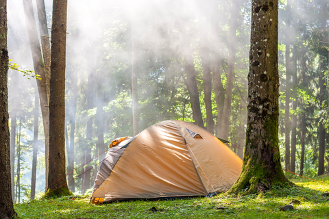 yellow tent in the wilderness