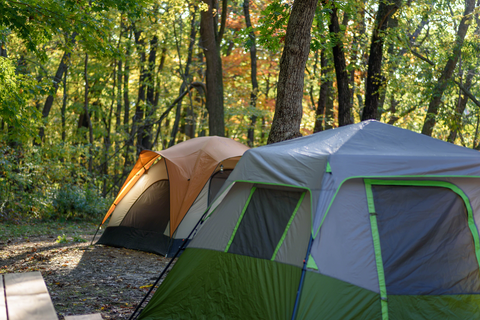 tent in a forest