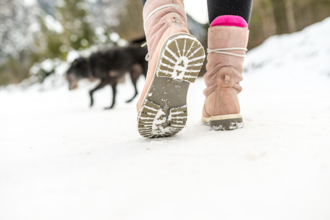 legs walking in snow with dog in front