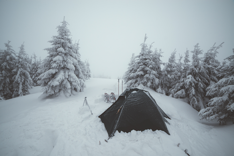 A dark gray/black tent in the snow with trees around it
