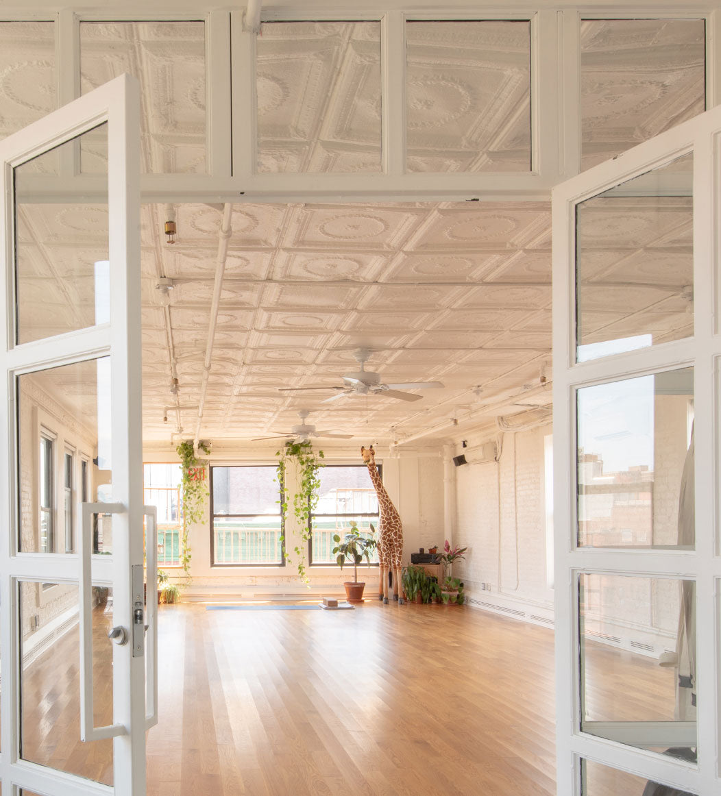 Sky Ting yoga studio, filled with natural light and ornate ceiling