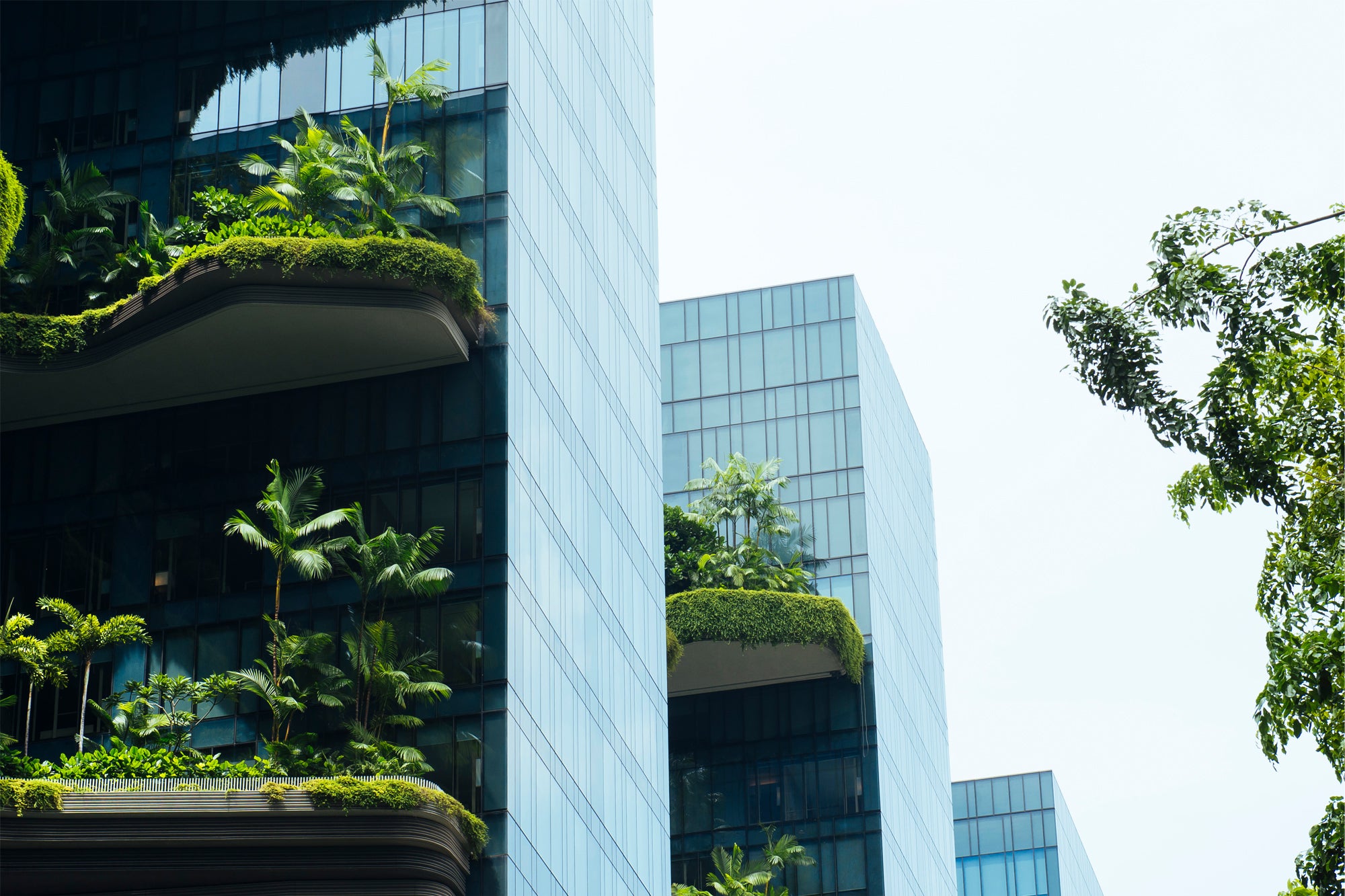 A contemporary vertical garden building in Singapore.
