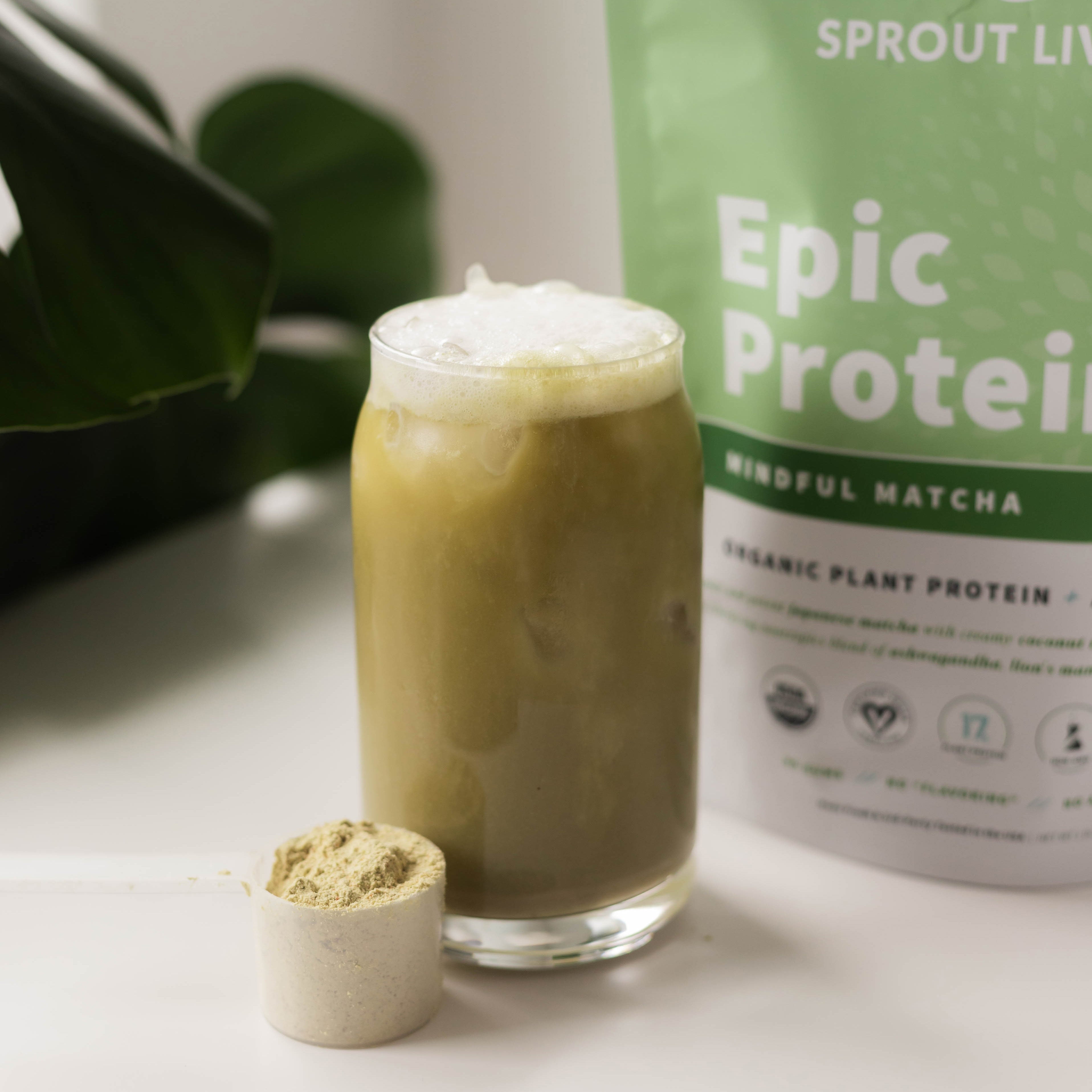 Matcha Latte with Epic Protein