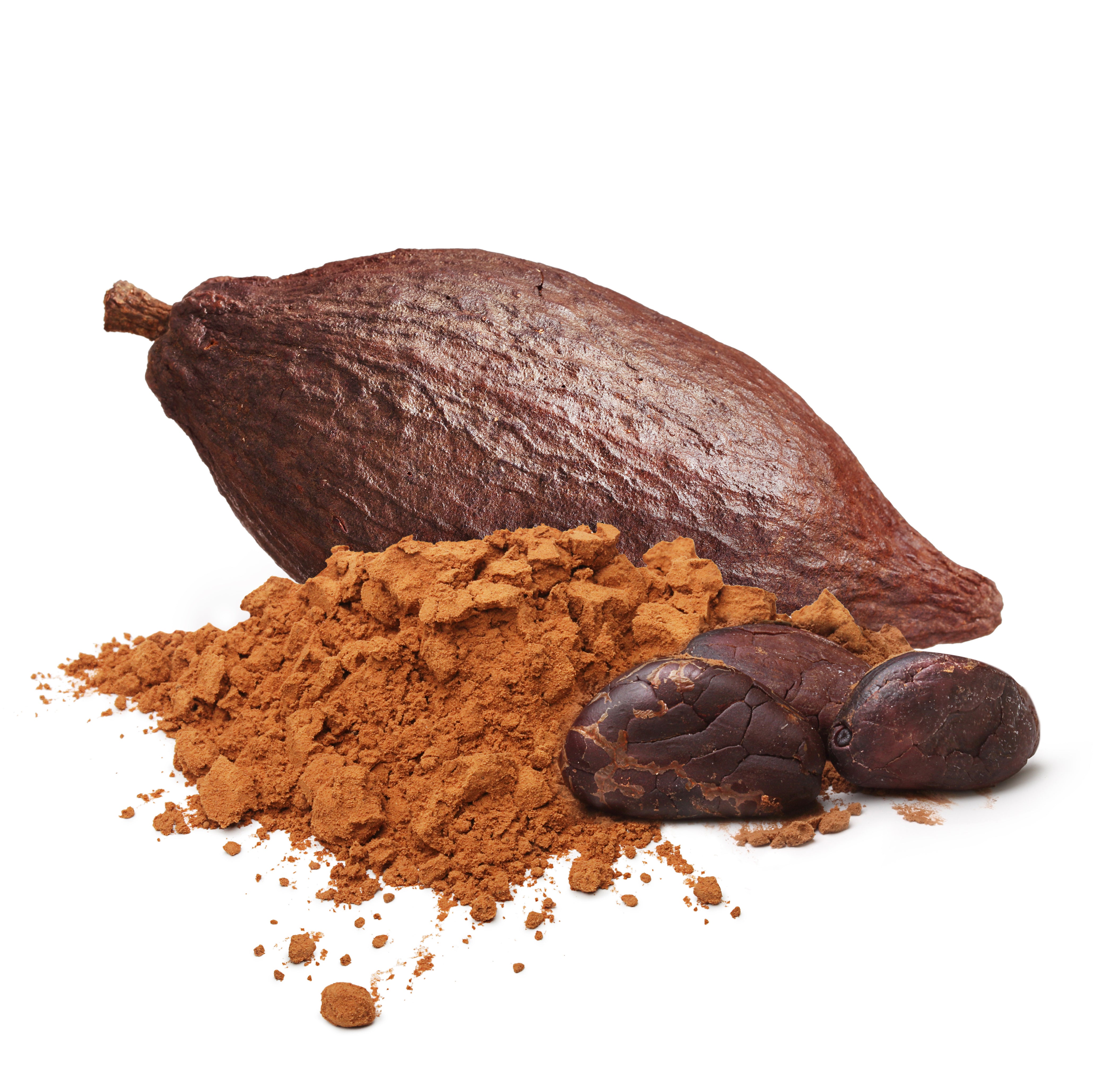 Close-up of cacao bean and powder