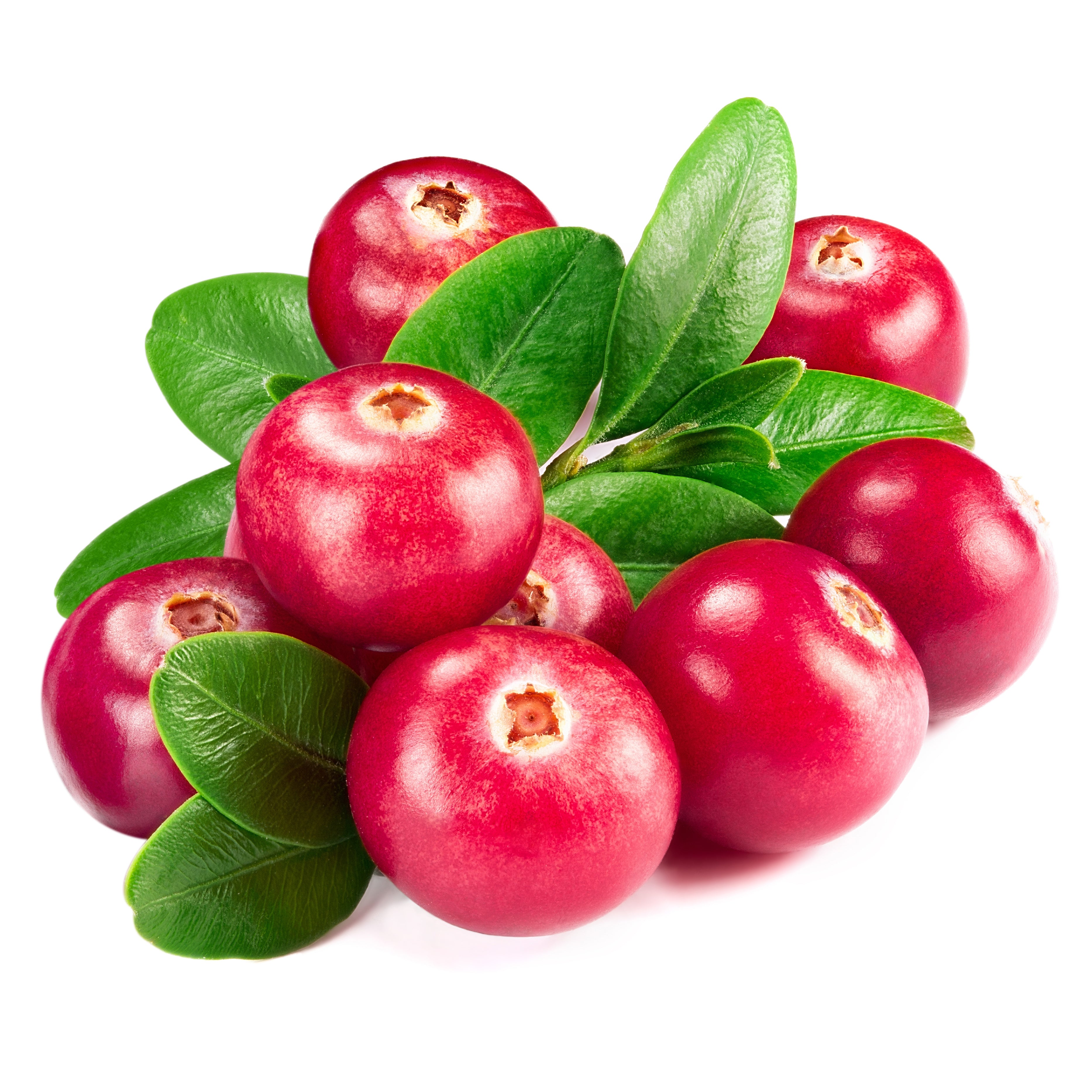 cranberries with leaves