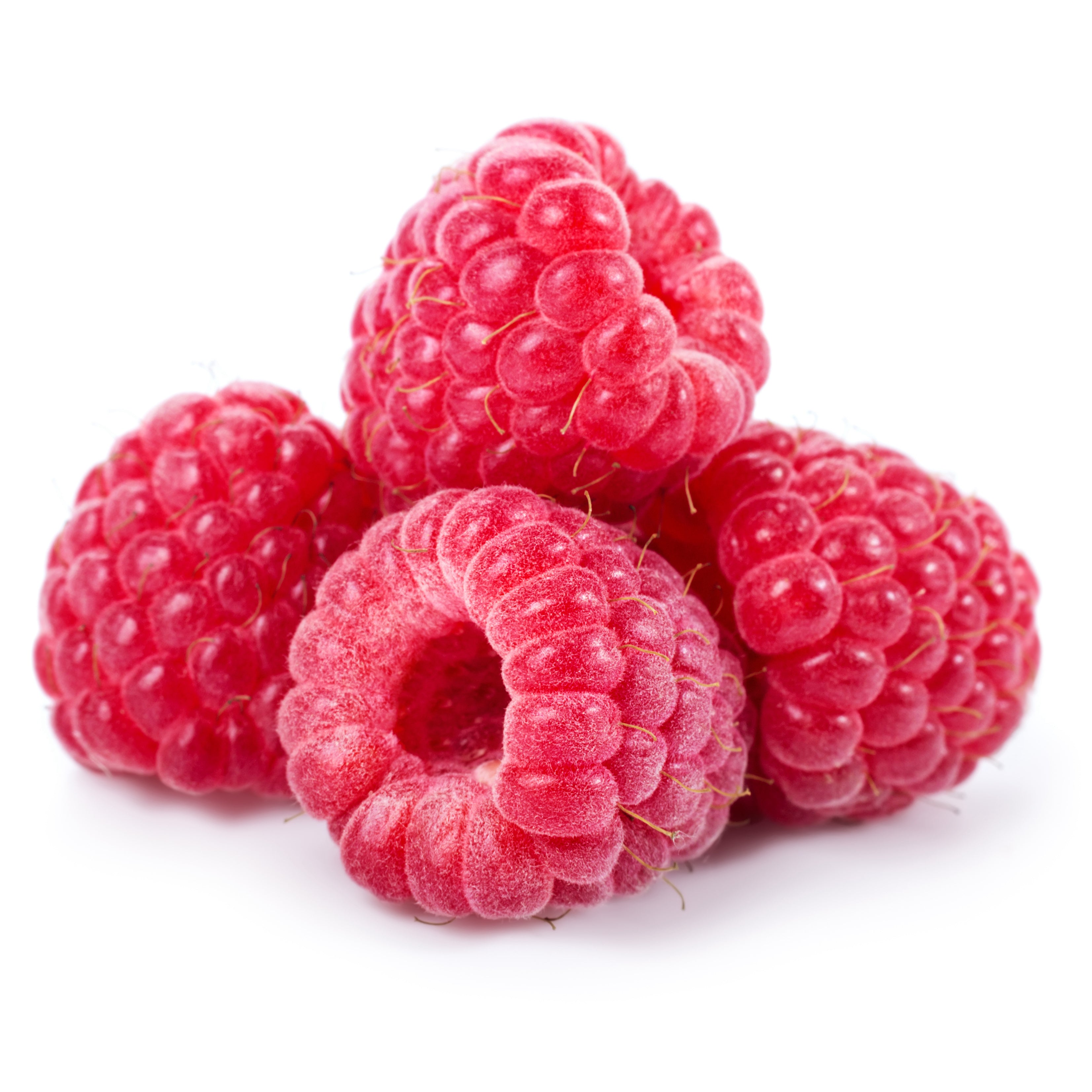 Raspberries on white background