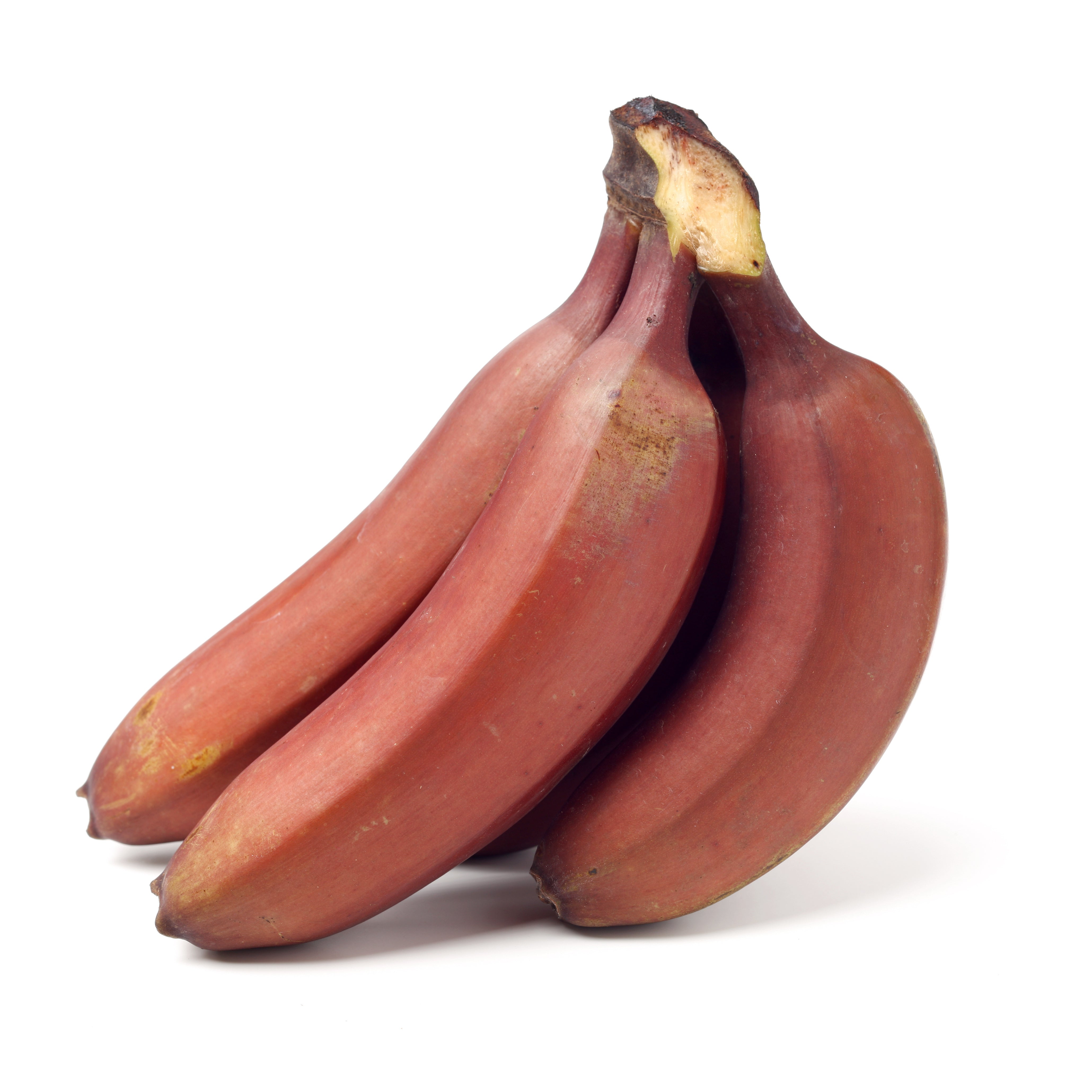 Heirloom red bananas