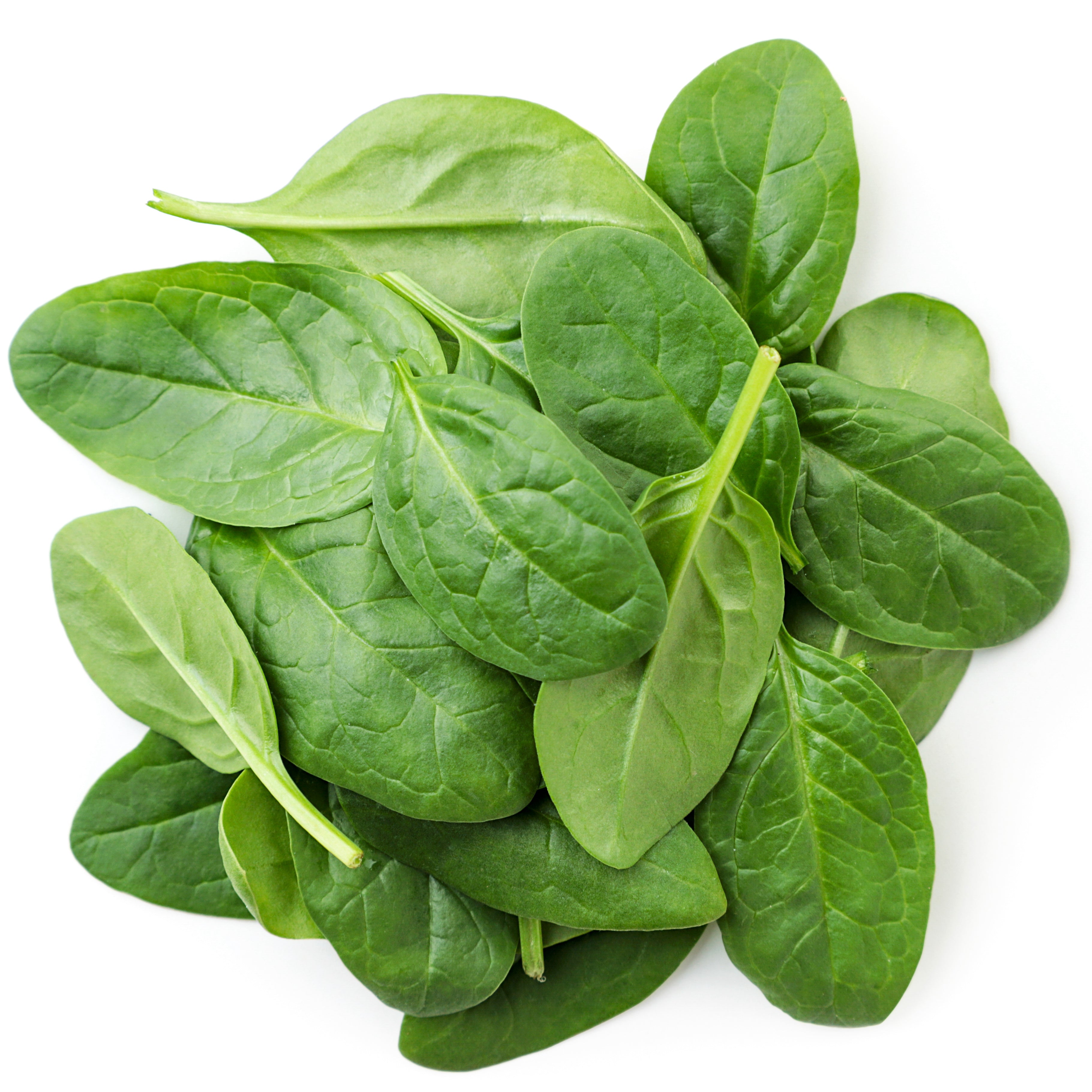 Close-up of a bundle of spinach leaves