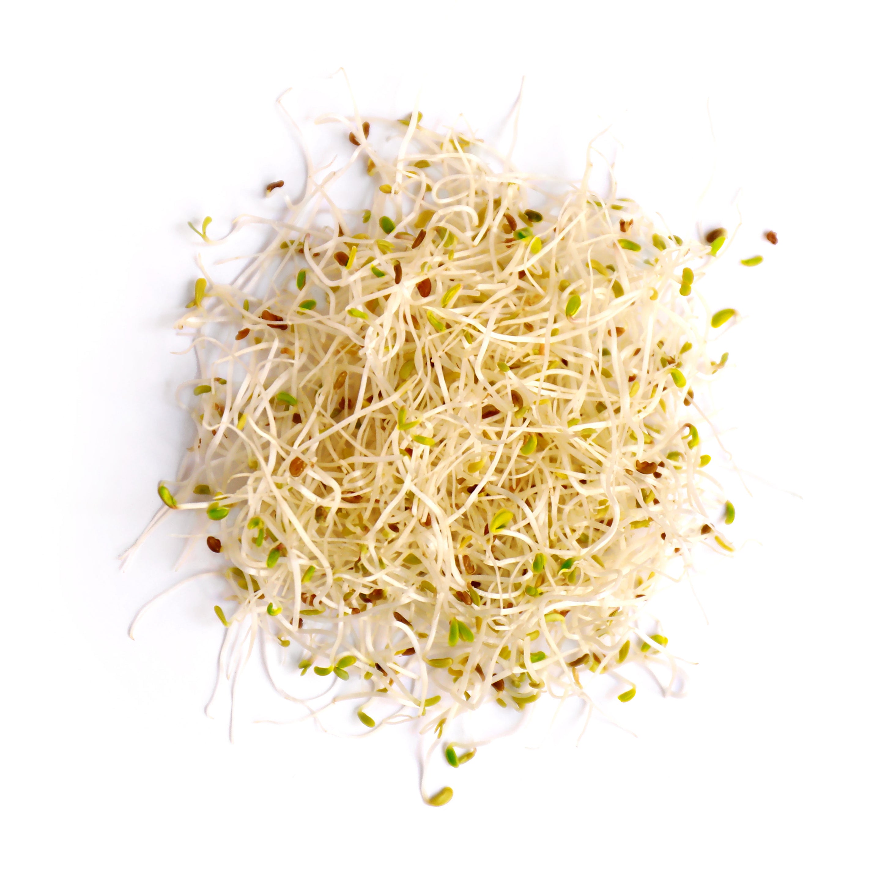 A close-up of broccoli sprouts