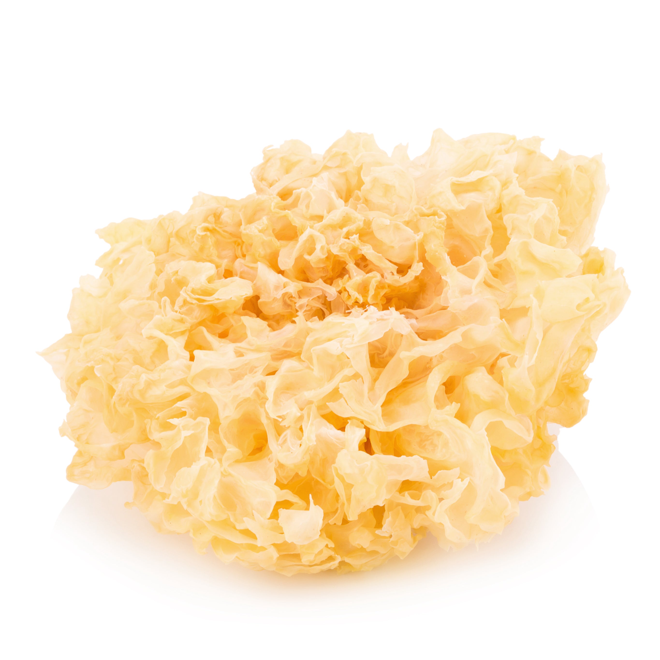 Tremella Snow Mushroom on white background